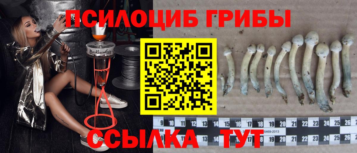 Галлюциногенные грибы мухоморы Ростов Великий