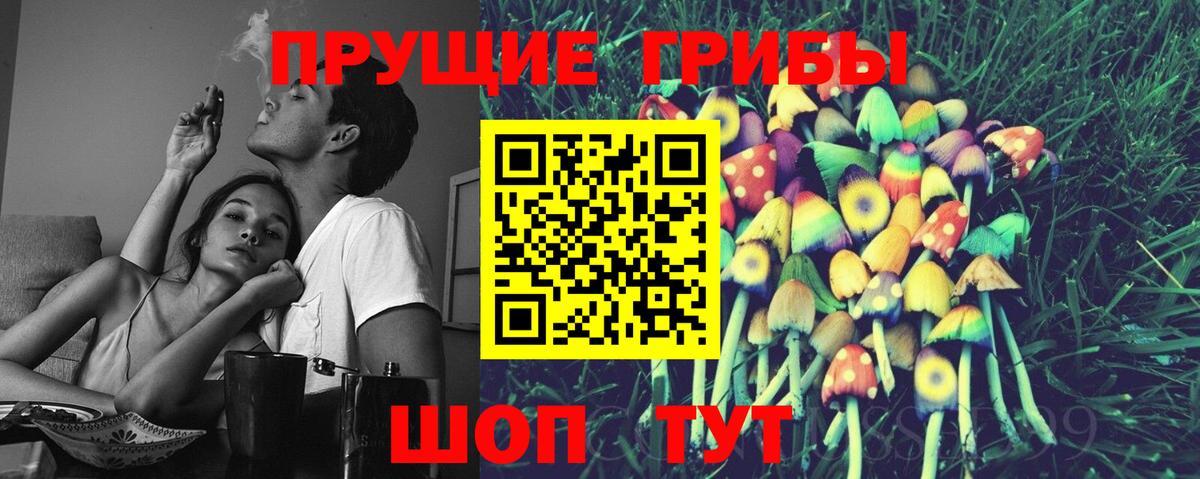 Галлюциногенные грибы Psilocybine cubensis  Галлюциногенные грибы Psilocybe  Ростов Великий  Вход с VPN 